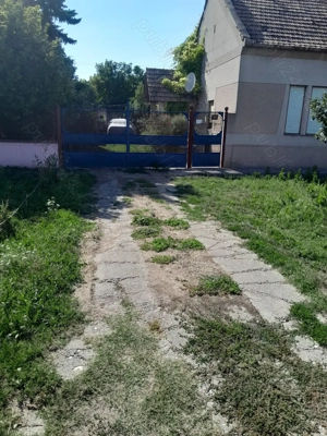 Vind Casa in Serbia 10 km de granița cu Jimbolia  - imagine 4