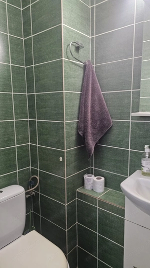 Lipovei | Decomandat | 2 băi | Centrală proprie | Mobilat-Utilat - imagine 12