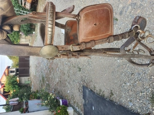 Capastru pentru cai.