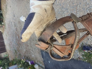 Capastru pentru cai. - imagine 2