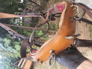 Ham pentru cai  - imagine 2