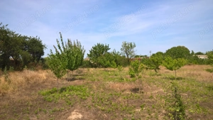 Casa batraneasca cu teren 3000 mp - imagine 7