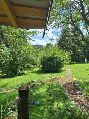 Vand casa+cabana  - imagine 9