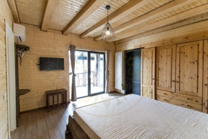 Casa de vacanta  sau afacere la cheie in Loc. Nucsoara, jud. Arges. - imagine 20