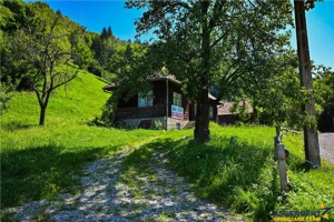 FILM! Casa traditionala, 4.300mp teren, Bran - Simon - imagine 12