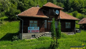 FILM! Casa traditionala, 4.300mp teren, Bran - Simon - imagine 16