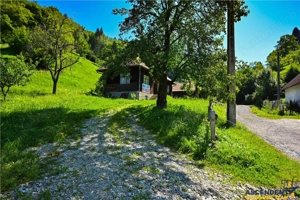 FILM! Casa traditionala, 4.300mp teren, Bran - Simon - imagine 6