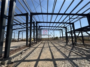 Inchiriere depozit hala spatiu industrial Chitila - Centura, ILFOV - imagine 9