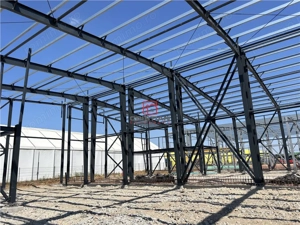 Inchiriere depozit hala spatiu industrial Chitila - Centura, ILFOV