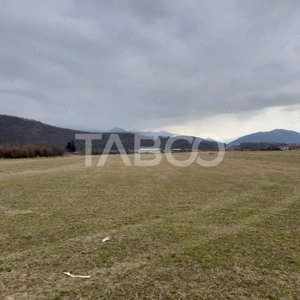 Teren intravilan 11.400 mp deschidere 45 ml in Talmaciu zona de case - imagine 6