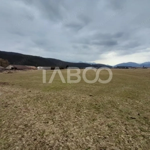 Teren intravilan 11.400 mp deschidere 45 ml in Talmaciu zona de case - imagine 5