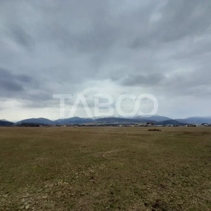 Teren intravilan 15.000 mp Front 47 m DN7 in Talmaciu zona industriala - imagine 6