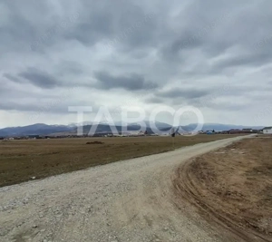 Teren intravilan 11.400 mp deschidere 45 ml in Talmaciu zona de case - imagine 3