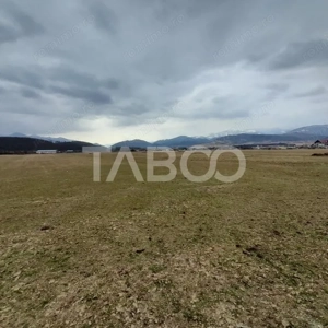 Teren intravilan 11.400 mp deschidere 45 ml in Talmaciu zona de case - imagine 7