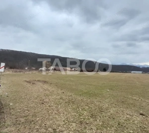 Teren intravilan 11.400 mp deschidere 45 ml in Talmaciu zona de case - imagine 8