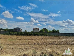 Teren de vanzare lotizat la padure cu utilitati in Frumusani   Calarasi