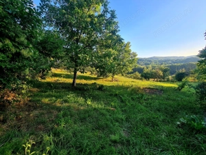 Teren Intravilan 3250 mp / Casa batraneasca / Pausesti Maglasi - imagine 2