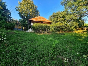 Teren Intravilan 3250 mp / Casa batraneasca / Pausesti Maglasi - imagine 5