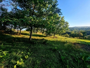 Teren Intravilan 3250 mp / Casa batraneasca / Pausesti Maglasi - imagine 4