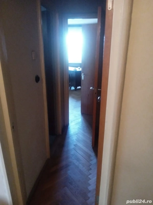 1Mai  Ciuperca  - imagine 7