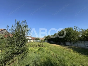 Teren intravilan 4783 mp - Oportunitate de investitie Turnisor Sibiu - imagine 3