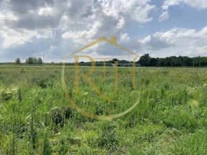  Teren de vânzare în Ghiroda cu toate utilitatile trase – Zona Bistra - imagine 3