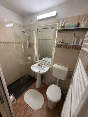 Apartament cu 2 camere parter mobilat si utilat Sagului - imagine 9