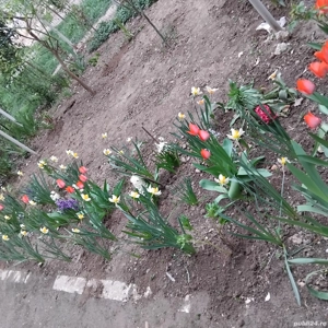 Apartament 1 camera decomandat  - imagine 7