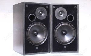 Boxe raft Dali 102,2 x 70 W,8 Ohm.