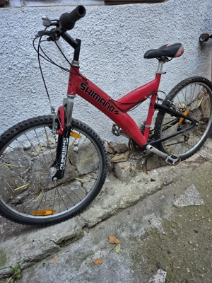 Bicicleta adolescent 