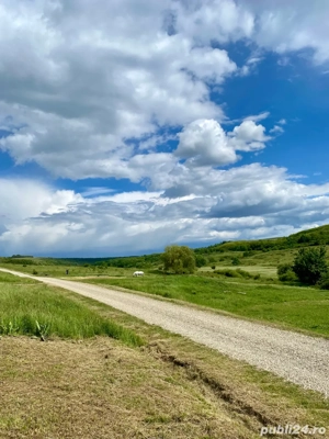 VAND teren cu casa intravilan aproape de oradea in Uileacu De Munte - imagine 6