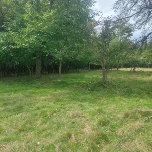 Teren 15826 mp + padure 1 ha - imagine 2