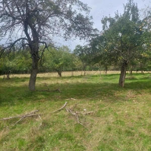 Teren 15826 mp + padure 1 ha