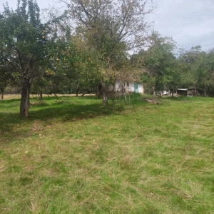 Teren 15826 mp + padure 1 ha - imagine 3