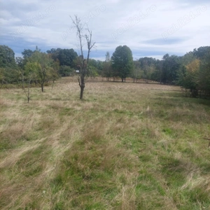 Teren 15826 mp + padure 1 ha - imagine 4