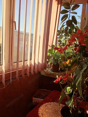 Vând apartament 3 camere decomandat  - imagine 3