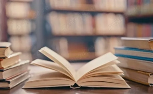 Meditații la Limba și Literatura Română Clasele V VIII | Pregătire pentru Evaluarea Națională 
