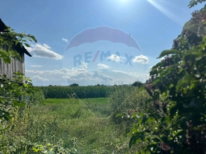 Teren intravilan 3.765 mp cu casă – Bodești de Jos - imagine 2