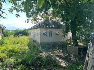 Teren intravilan 3.765 mp cu casă – Bodești de Jos - imagine 9