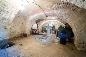 Imobil renovat, 2 apartamente, grădină și garaj – Turnu - imagine 18