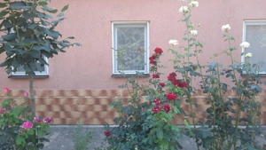 Casa de vânzare Lovrin