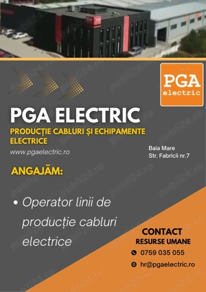 Operatori linii de productie cabluri electrice.