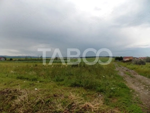 Teren de vanzare 10000 mp CF 107274 deschidere de 42 m in Sura Mica  - imagine 5