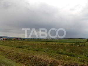 Teren de vanzare 10000 mp CF 107274 deschidere de 42 m in Sura Mica  - imagine 3