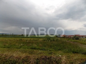 Teren de vanzare 10000 mp CF 107274 deschidere de 42 m in Sura Mica  - imagine 8