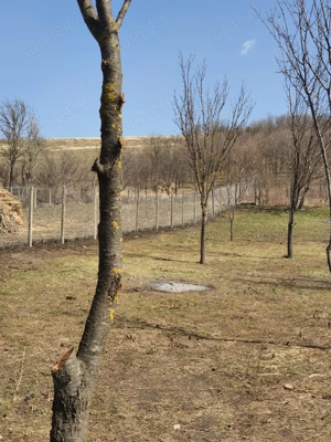 Casa de vanzare - imagine 4