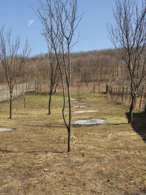 Casa de vanzare - imagine 6