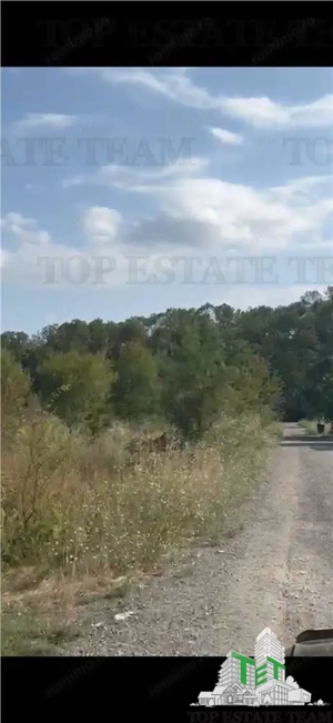 Teren in fata padurii Baneasa - imagine 6