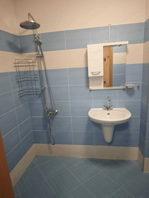 Apartament cu 1 camera in zona Mehala - imagine 9