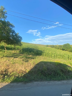  Teren intravilan 5000 mp. front 38.  - imagine 7